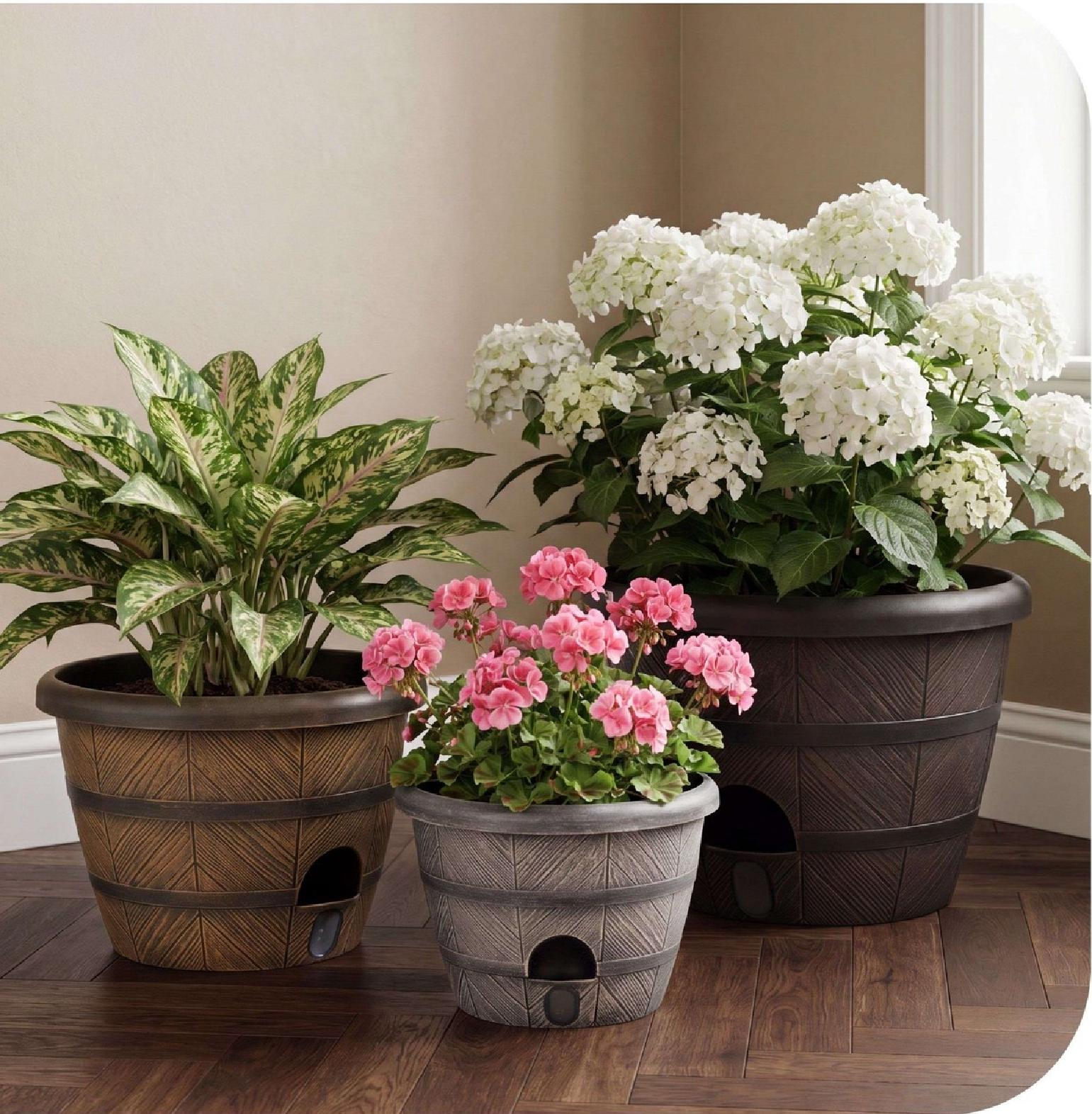 Self-Watering Planters Pros and Cons Before Buying