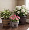 Chevron Selfwatering Barrel Imitation Wooden Barrel Self-Watering Multi-Size Round Planter