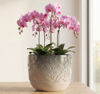 leaf pot