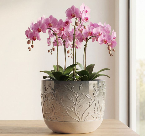 leaf pot