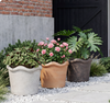 10" Qirui Pot Dark Brown Vintage Indoor Outdoor Planter