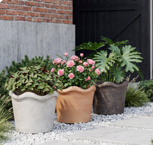 10" Qirui Pot Dark Brown Vintage Indoor Outdoor Planter