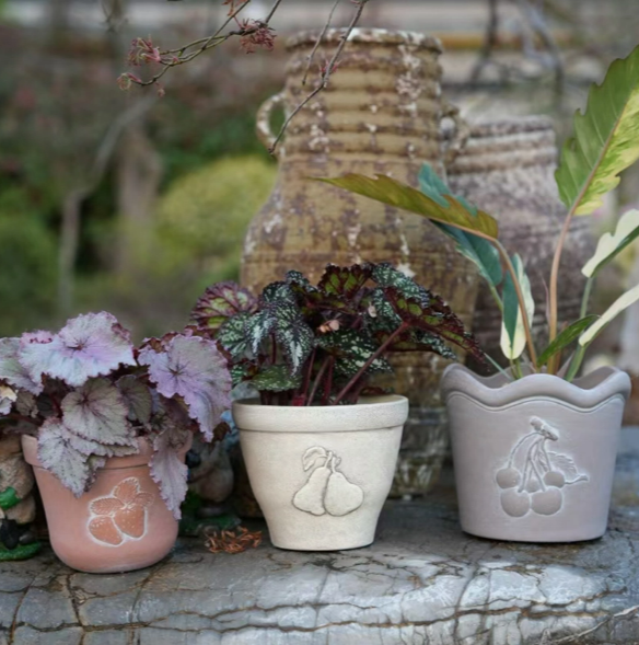 Plastic Flower Pots7.png